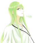  androgynous cds06 enkidu_(fate/strange_fake) fate/strange_fake fate_(series) green_eyes green_hair highres long_hair male_focus solo 