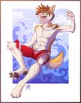  5_toes abs anthro biceps canine chest_tuft clothing cyberpaws dog fur gothwolf husky male mammal muscles necktie nipples open_mouth paws pecs summer swimsuit toes tuft 