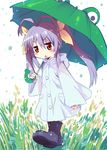  :o animal_themed_umbrella antenna_hair blush blush_stickers boots child full_body hair_ribbon holding holding_umbrella kanibasami long_hair miyauchi_renge non_non_biyori open_mouth purple_hair raincoat red_eyes ribbon rubber_boots solo triangle_mouth twintails umbrella v-shaped_eyebrows white_background 