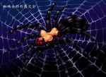  2015 abdomen arachnid arthropod big_breasts breasts drider female multi_limb multiple_eyes nipples nude pussy solo spider web 