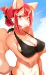  1girl anthro artist_request big_breasts bikini bra breasts canine cleavage clothed clothing cloud copyright_request dog female furry hair kemono ksyaro looking_at_viewer mammal open_mouth outside ponytail purple_eyes red_hair short_hair sky solo sweat swimsuit underwear 