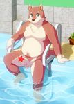  anthro balls blue_eyes cat censored chest_tuft chubby erection feline fur harusuke looking_at_viewer male mammal nude penis plant potted_plant sitting solo swimming_pool tuft uncut water 