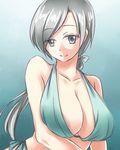  breasts chitose_(kantai_collection) cleavage grey_eyes grey_hair kantai_collection large_breasts lowres nekoyanagi_reo smile solo swimsuit 