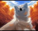  autumn canine daesiy dog eyes_closed fall fur leaves mammal samoyed sky smile tree white_fur 