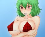  bikini blush breast_rest breasts collarbone colored_eyelashes covered_nipples eyes_visible_through_hair green_hair grin highres holding_arm kazami_yuuka large_breasts looking_up mouth_hold naughty_face ogoro plaid plaid_bikini red_eyes short_hair sideboob smile solo string_pull swimsuit teeth touhou tsurime underboob untied untied_bikini upper_body 