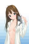  animal animal_on_shoulder blue_eyes blush breasts brown_hair cat dress_shirt fishkitty green_hair head_tilt highres idolmaster idolmaster_cinderella_girls long_hair medium_breasts naked_shirt navel no_bra one_eye_closed open_clothes open_cuffs open_shirt petting shibuya_rin shirt sidelocks small_breasts smile solo 