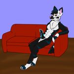  animal_genitalia balls canine canine_penis fox glowing knot male mammal masturbation nude penis pose rcfox sitting sofa 