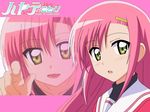  hayate_no_gotoku! katsura_hinagiku long_hair pink_hair tagme wall yellow_eyes 