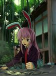  animal_ears annoyed bad_id bad_pixiv_id bamboo bamboo_forest bunny_ears forest hidebo inaba_tewi lying multiple_girls nature necktie pink_hair pitfall prank purple_eyes red_neckwear reisen_udongein_inaba touhou veranda 