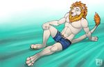  abs anthro biceps bulge clothed clothing feline fur half-dressed lion looking_at_viewer male mammal muscles paws pecs simple_background solo topless tsaiwolf underwear 