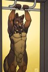 anthro canine dog fur german_shepherd looking_at_viewer male mammal muscles nude paws pecs solo tsaiwolf 