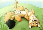  aseethe balls canine digital_media_(artwork) feral fox fur grass lying male mammal on_back orange_eyes orange_fur penis smile solo 