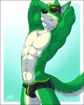  abs biceps blue_eyes bulge canine chest_tuft clothing feralise fur male mammal muscles pecs tuft underwear wolf zavryn 