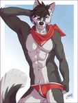  abs biceps blue_eyes bulge canine clothing dog feralise husky male mammal muscles pecs scarf underwear 