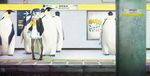  aqua_eyes bangs bird black_hair black_legwear blunt_bangs cellphone commentary_request emperor_penguin flock highres long_hair original pantyhose penguin phone pigeon-toed ponytail sakimori_uta school_uniform shoes skirt sneakers solo subway subway_station 