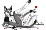  anthro balls canine flower fur green_eyes kenovawolf looking_at_viewer male mammal nude penis penis_tip plant rose seductive sheath solo tongue tongue_out truegrave9 wolf 