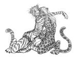  balls cat cheetah feline male mammal monochrome sheath simoon 