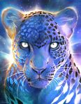  balaa bigger_version_at_the_source cheetah feline mammal 
