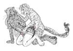  balls cat cheetah feline male mammal penis sheath simoon 
