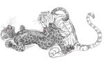  balls cat cheetah feline licking male male/male mammal penis sheath simoon tongue tongue_out 
