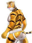  butt clothing dusk60000 embarrassed feline jockstrap looking_at_viewer male mammal muscles simple_background solo tiger underwear white_background 