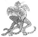  cat cheetah feline male mammal sheath simoon 