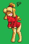  animal_crossing animated animation blonde_hair blush bottomless bounce canine clothed clothing digital_media_(artwork) dog female fur hair half-dressed isabelle_(animal_crossing) mammal mawiies nervous nintendo pixel_(artwork) pixel_animation shy solo sweater tailwag video_games yellow_fur 