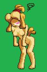  animal_crossing blonde_hair blush breasts canine digital_media_(artwork) dog female fur hair isabelle_(animal_crossing) mammal mawiies nervous nintendo nipples nude pixel_(artwork) shy solo video_games yellow_fur 