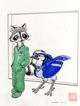  2014 anthro avian bird blue_jay collar feral flight_suit mammal raccoon steve_gallacci 
