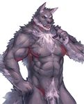  abs anthro biceps canine chest_tuft clothing fluffy fur jacketbear male mammal muscles nipples pecs penis simple_background solo tongue tuft white_background wolf yellow_eyes 