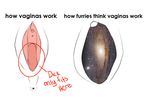  anus clitoris english_text galaxy incorgnito not_furry pussy simple_background space text the_truth urethra white_background 