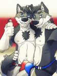  anthro brothers bulge canine clothing dog duo husky jockstrap looking_at_viewer lube male male/male mammal sibling sky3 twins underwear 