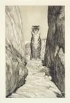  ambiguous_gender feline feral greyscale hi_res license_info looking_at_viewer mammal max_klinger monochrome public_domain solo tiger traditional_media_(artwork) white_border 
