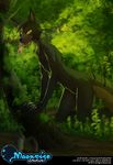  anaconda anthro black_fur canine digital_media_(artwork) forest fur hybrid male mammal reptile scalie snake tofu93 tongue tree volg_(positronwolf) wolf yellow_eyes 