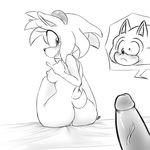  2015 amy_rose anthro areola bluechika breasts butt erect_nipples erection female hedgehog male mammal nipples nude penis pussy sonic_(series) sonic_the_hedgehog 