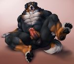  adios balls bern big_muscles canine chest_tuft dog erection fluffy fur male mammal musclegut muscles navel nipples pawpads penis precum pubes solo tongue tongue_out tuft 