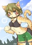  2015 blush brown_eyes chaora chest_tuft clothed clothing cloud feline female fur green_hair hair hitohira_onsa lens_flare mammal midriff navel open_mouth shorts sky solo sports_bra spots standing sweat tree tuft 