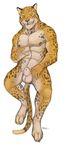  2015 anthro balls bluechance cheetah feline looking_at_viewer male mammal nipples nude sheath simple_background spots standing 