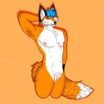 alissondafox anthro black_body black_fur blue_eyes blue_hair canid canine chest_tuft dustythefox featureless_crotch fox fur hair hi_res male mammal nipples orange_background orange_body orange_fur simple_background solo tuft white_body white_fur