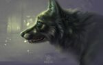 canid canine canis feral mammal melodyofforest portrait wolf
