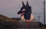 bomber_jacket canid canine canis clothing coyote dappermouth dating_sim english_text gameplay_mechanics hi_res hill male mammal multi_eye nature open_mouth outside plant pointy_ears power_lines shirt solo talking_to_viewer teeth text topwear utility_pole