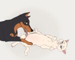 5:4 abigail_(squiggleflop) ambiguous_gender canid canine canis cunnilingus digital_media_(artwork) dobermann domestic_cat domestic_dog duo felid feline felis female female/ambiguous feral feral_on_feral fur genitals hi_res mammal nipples open_mouth oral pinscher sex simple_background smile squiggleflop tail teats tongue tongue_out vaginal vulva white_body