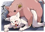 2023 anal anthro anthro_on_feral anthro_penetrated bell bell_collar bent_legs bestiality blush bodily_fluids border collar collar_only domestic_pig duo ear_piercing ear_tag english_description fangs feral feral_penetrating feral_penetrating_anthro fist fur heterochromia homura_(homura_kasuka) japanese_text kori-nio looking_pleasured male male/male male_penetrated male_penetrating male_penetrating_male mammal nude open_mouth penetration piercing red_collar sex snot suid suine sus_(pig) sweat tail teeth text tongue tongue_out white_body white_border white_fur