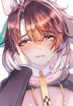  1girl 1other alt_text animal_ears black_jacket black_shrug blush breasts brown_eyes brown_hair checkered_ribbon commentary_request crying crying_with_eyes_open dantsu_flame_(center_spotlight)_(umamusume) dantsu_flame_(umamusume) ear_covers ear_ribbon hair_between_eyes hand_on_another's_cheek hand_on_another's_face highres horse_ears horse_girl jacket looking_at_viewer multicolored_hair open_mouth orusun pink_shirt shirt shrug_(clothing) simple_background solo_focus tearing_up tears trainer_(umamusume) umamusume upper_body white_hair 