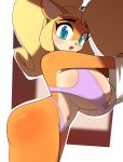 absurd_res activision anthro bandicoot big_breasts blonde_hair blush bra breasts cleavage clothed clothing coco_bandicoot crash_bandicoot_(series) eyebrows female fur green_eyes hair hi_res huge_breasts lawgx looking_at_viewer mammal marsupial multicolored_body multicolored_fur navel open_mouth panties ponytail solo standing tan_body tan_fur teeth thick_thighs tongue two_tone_body two_tone_fur underwear