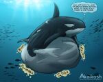 2026 5:4 abdominal_bulge akaikosh ambient_creature ambiguous_gender aquatic artist_name belly big_belly black_body cetacean dolphin english_text face_imprint feral fin fish floating fully_submerged huge_belly imprint mammal oceanic_dolphin orca rumbling_stomach soft_vore solo tail text thought_bubble toothed_whale underwater url vore water white_body