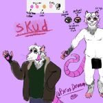1:1 american_opossum anthro censored censored_genitalia clothing english_text male mammal marsupial model_sheet pyrosdream sketch solo tagme text