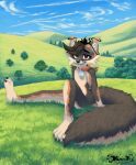 anthro bell bell_collar canid canine cloud collar fox grass grey_fox hi_res hill inner_ear_fluff jingle_bell jingle_bell_collar kunwe looking_at_viewer male mammal plant sitting sky smile smiling_at_viewer solo tree tuft urocyon