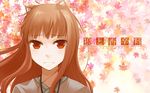  :| animal_ears ayakura_juu brown_hair closed_mouth copyright_name craft_lawrence eye_reflection face holo leaf leaf_background long_hair portrait red_eyes reflection sad solo spice_and_wolf wallpaper wolf_ears 