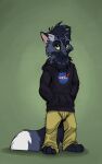 anthro barefoot biped black_body black_clothing black_fur black_hoodie black_nose black_topwear blue_body blue_fur bottomwear canid canine cheek_tuft clothed clothing dipstick_ears dipstick_tail ear_markings eyebrows facial_tuft feet fox front_view fully_clothed fur glistening glistening_eyes green_background green_eyes hair hand_in_pocket hands_behind_back hands_in_both_pockets head_tuft hi_res hoodie looking_at_viewer male male_anthro mammal markings multicolored_ears multicolored_tail neck_tuft o-ruff pants pockets simple_background smile solo standing tail tail_markings topwear tuft whiskers